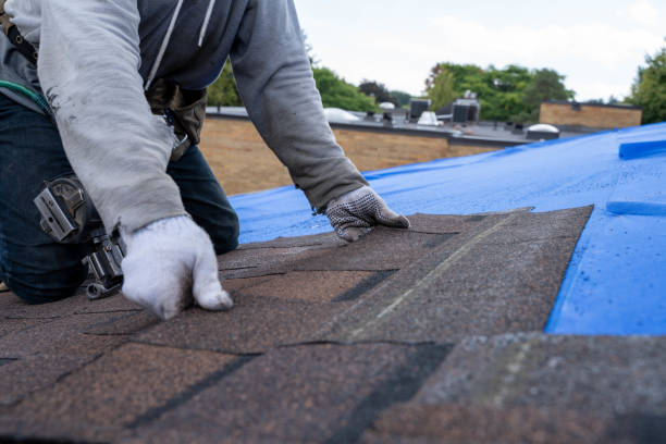 Fast & Reliable Emergency Roof Repairs in Collinsville, TX